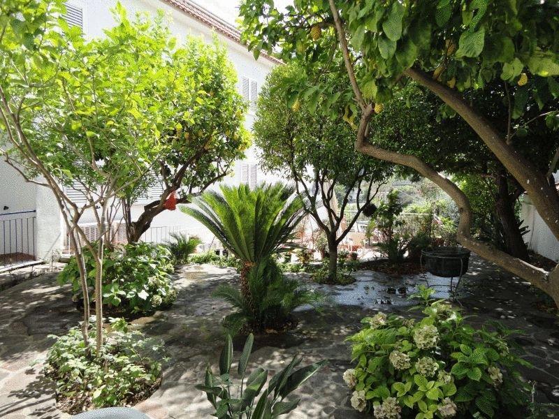 Hotel Candia Casamicciola Terme Exteriér fotografie
